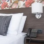 Faehrhaus Am Rhein By Mayburgh 3* Dusseldorf