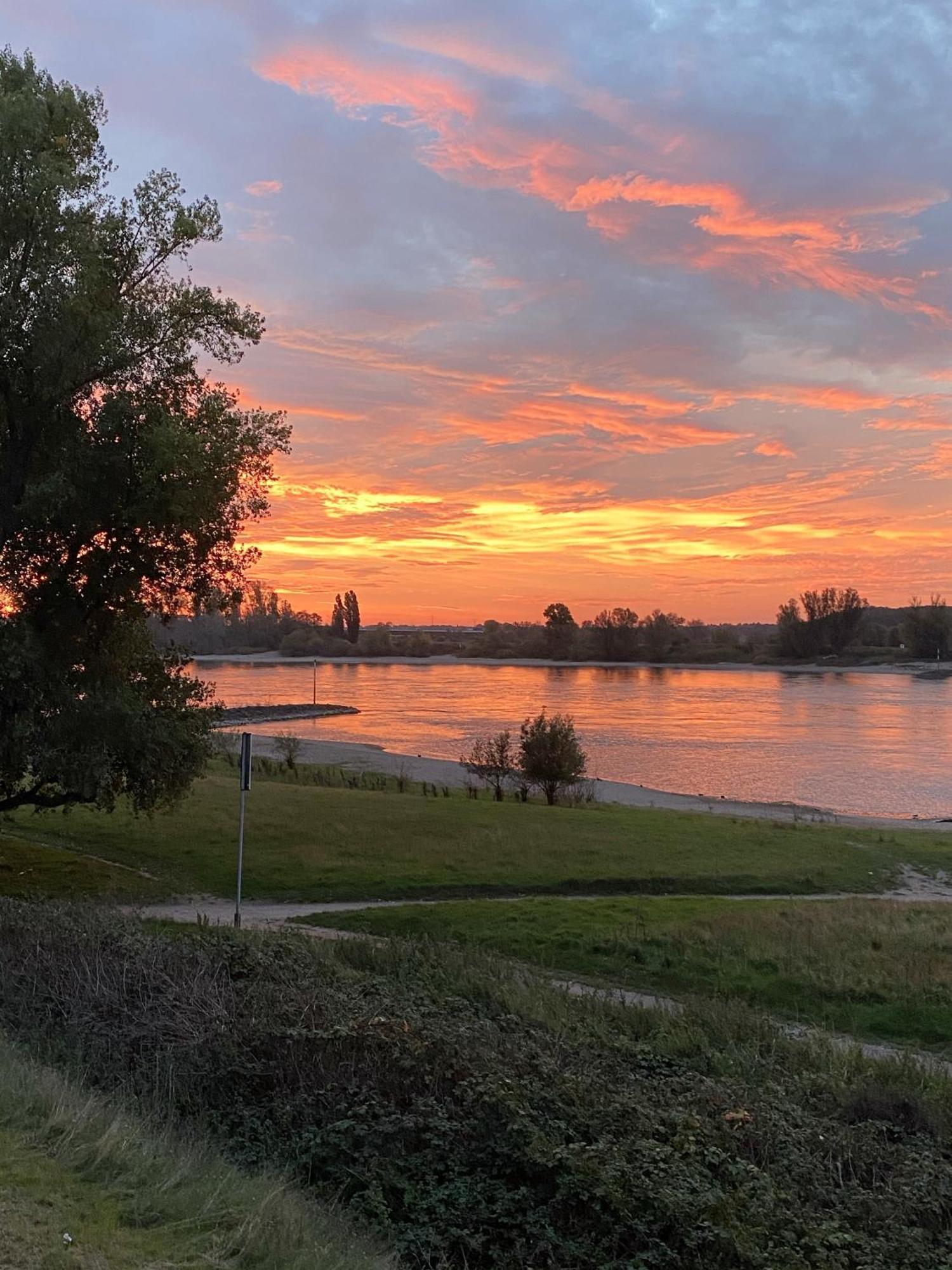 Faehrhaus Am Rhein By Mayburgh Bed & Breakfast Dusseldorf